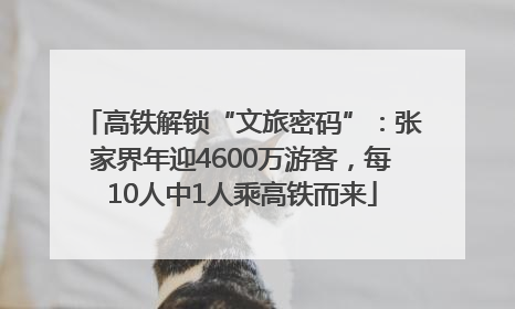 高铁解锁“文旅密码”：张家界年迎4600万游客，每10人中1人乘高铁而来