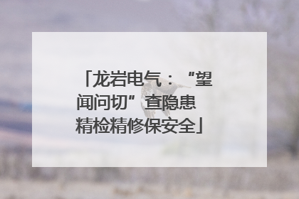 龙岩电气：“望闻问切”查隐患 精检精修保安全