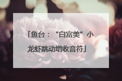 鱼台：“白富美”小龙虾跳动增收音符