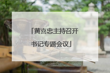 黄喜忠主持召开书记专题会议