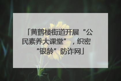 黄鹤楼街道开展“公民素养大课堂”，织密“银龄”防诈网