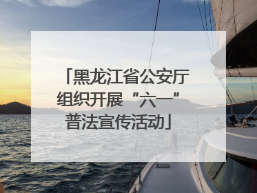 黑龙江省公安厅组织开展“六一”普法宣传活动