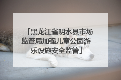 黑龙江省明水县市场监管局加强儿童公园游乐设施安全监管