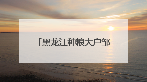 黑龙江种粮大户邹德海：保护“耕地中的大熊猫”黑土地，让增产可持续
