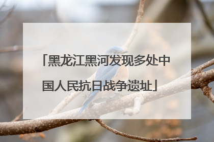 黑龙江黑河发现多处中国人民抗日战争遗址