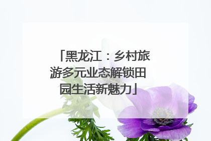 黑龙江：乡村旅游多元业态解锁田园生活新魅力