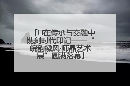 ﻿在传承与交融中镌刻时代印记——“皖韵徽风·师晶艺术展”圆满落幕