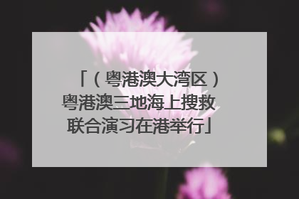 （粤港澳大湾区）粤港澳三地海上搜救联合演习在港举行
