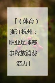 （体育）浙江杭州：职业足球赛事释放消费潜力