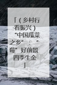 （乡村行·看振兴）“中国瓜菜之乡”：“莓”好前景 四季生金