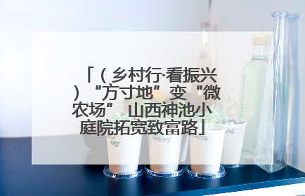 （乡村行·看振兴）“方寸地”变“微农场” 山西神池小庭院拓宽致富路