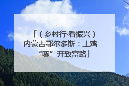 （乡村行·看振兴）内蒙古鄂尔多斯：土鸡“啄”开致富路