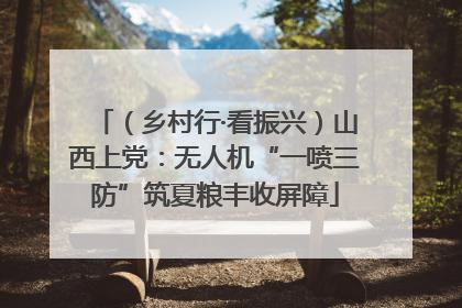 （乡村行·看振兴）山西上党：无人机“一喷三防”筑夏粮丰收屏障