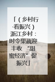 （乡村行·看振兴）浙江乡村：时令果蔬迎丰收 “甜蜜经济”促振兴