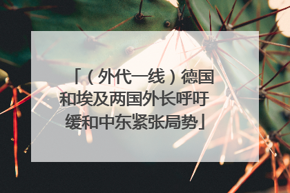 （外代一线）德国和埃及两国外长呼吁缓和中东紧张局势