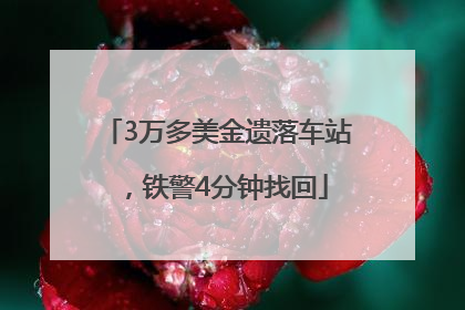 3万多美金遗落车站，铁警4分钟找回