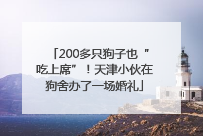 200多只狗子也“吃上席”！天津小伙在狗舍办了一场婚礼