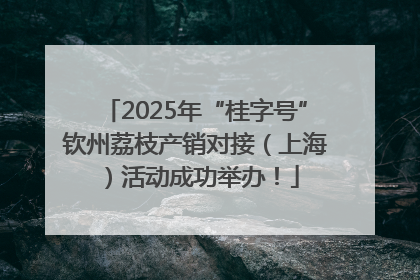 2025年“桂字号”钦州荔枝产销对接（上海）活动成功举办！