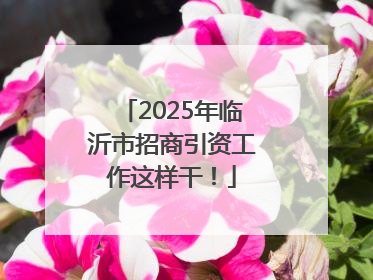 2025年临沂市招商引资工作这样干！