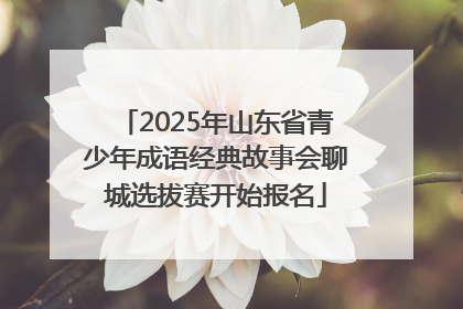 2025年山东省青少年成语经典故事会聊城选拔赛开始报名