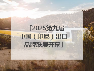 2025第九届中国（印尼）出口品牌联展开幕
