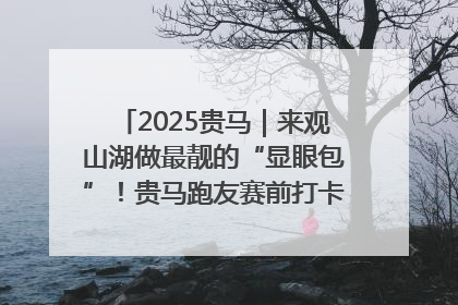 2025贵马｜来观山湖做最靓的“显眼包”！贵马跑友赛前打卡点燃奔跑热情