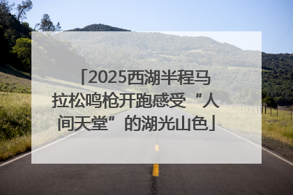 2025西湖半程马拉松鸣枪开跑感受“人间天堂”的湖光山色