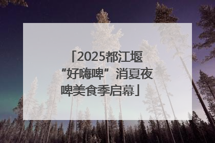 2025都江堰“好嗨啤”消夏夜啤美食季启幕