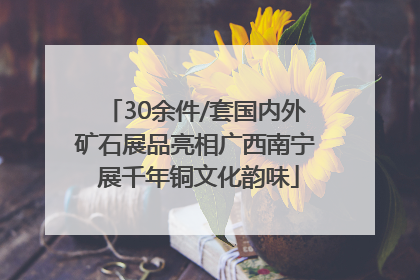 30余件/套国内外矿石展品亮相广西南宁 展千年铜文化韵味