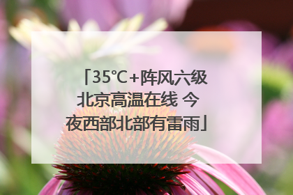 35℃+阵风六级 北京高温在线 今夜西部北部有雷雨