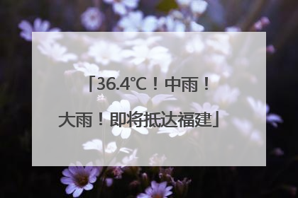 36.4℃！中雨！大雨！即将抵达福建