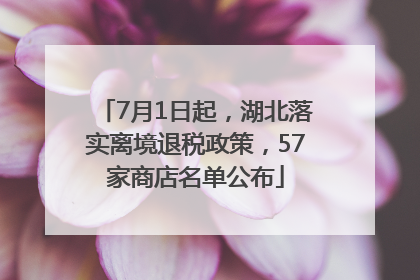 7月1日起，湖北落实离境退税政策，57家商店名单公布