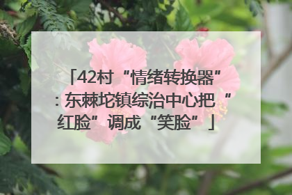 42村“情绪转换器”：东棘坨镇综治中心把“红脸”调成“笑脸”