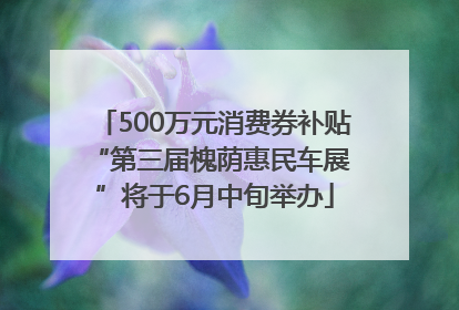 500万元消费券补贴 “第三届槐荫惠民车展”将于6月中旬举办