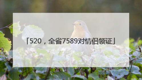 520，全省7589对情侣领证