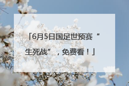 6月5日国足世预赛“生死战”，免费看！