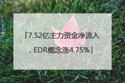 7.52亿主力资金净流入，EDR概念涨4.75%