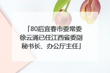 80后宜春市委常委徐云涌已任江西省委副秘书长、办公厅主任