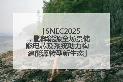 SNEC2025，鹏辉能源全场景储能电芯及系统助力构建能源转型新生态