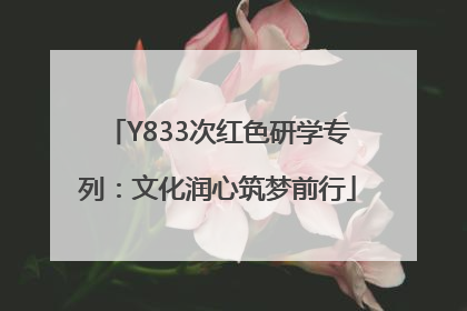 Y833次红色研学专列：文化润心筑梦前行